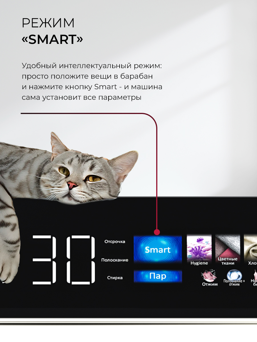 картинка Сушильная машина Lex LDM12WBLTHD 