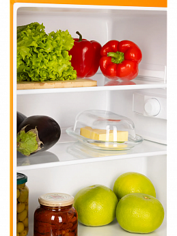 картинка Отдельностоящий холодильник Nord NR 506 Or 