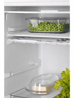 картинка Отдельностоящий холодильник Nord RF 90 W 